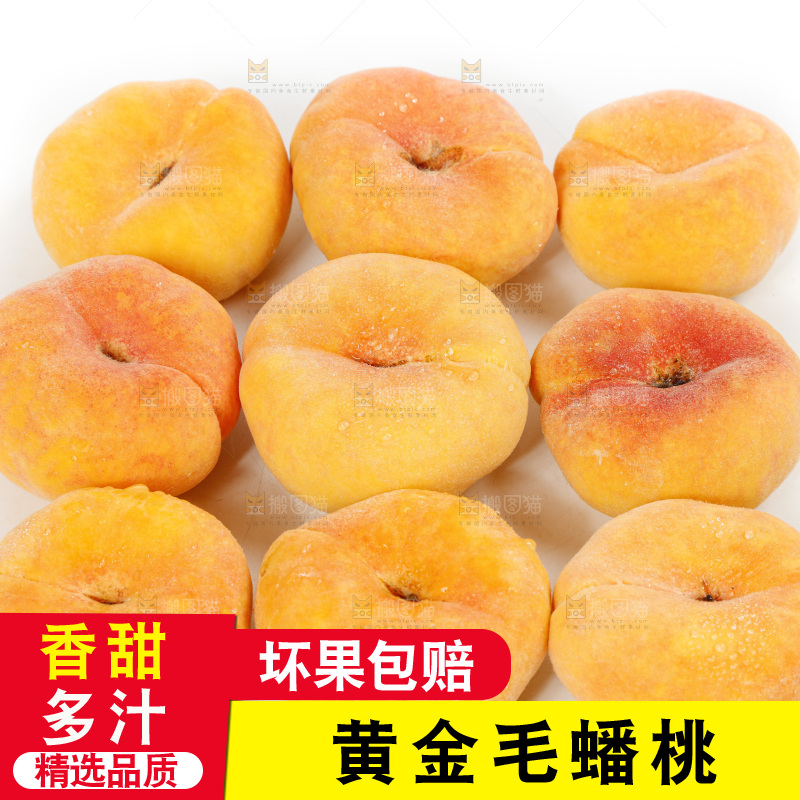 白底上的蒙阴毛蟠桃