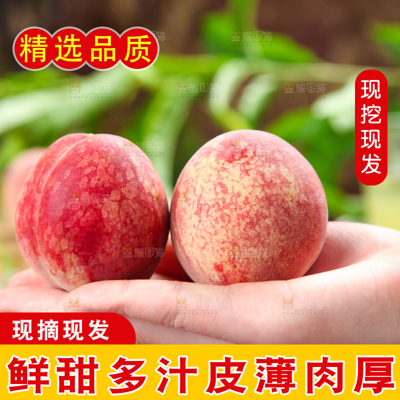 手上拿着湖北胭脂红桃子
