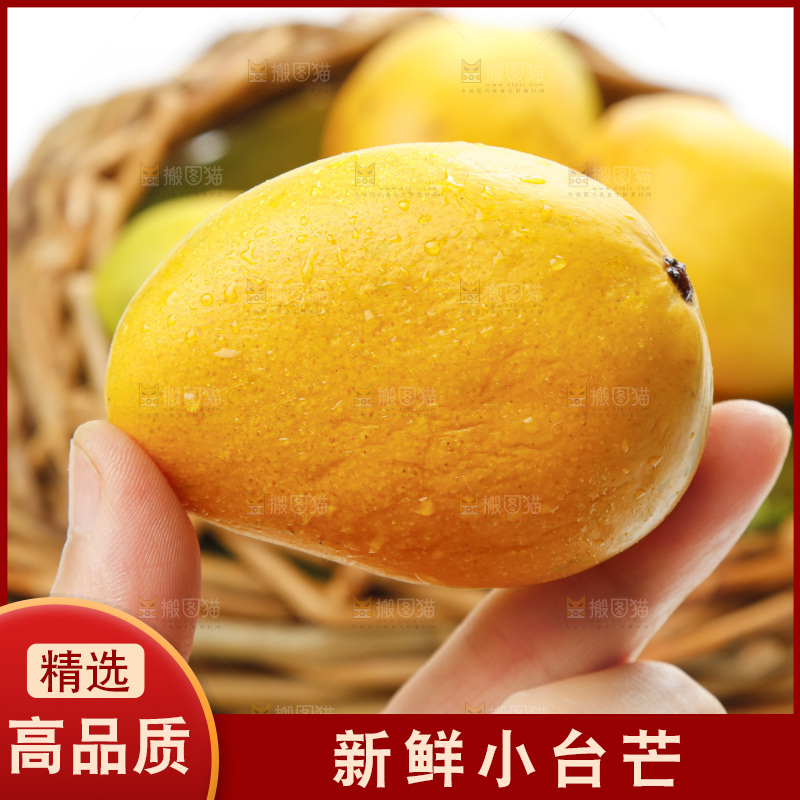 篮子里装着海南台农芒果