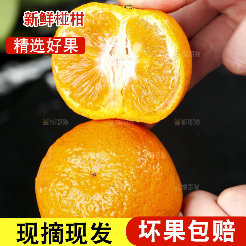 手里拿着椪柑橘