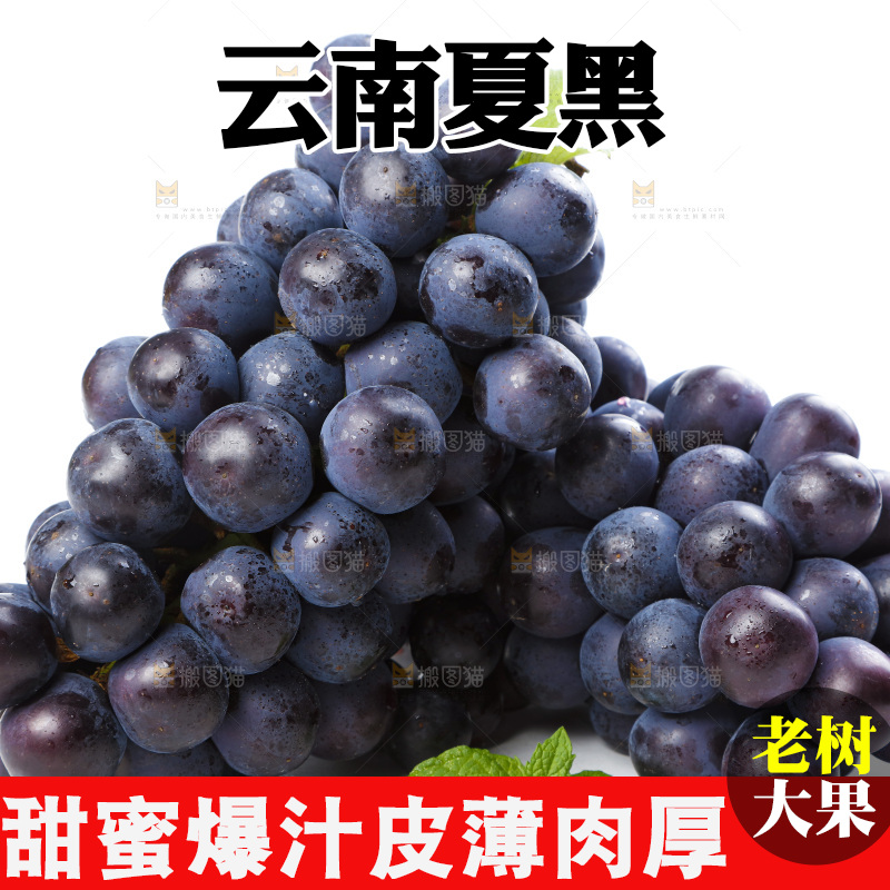 白底上的巨峰葡萄