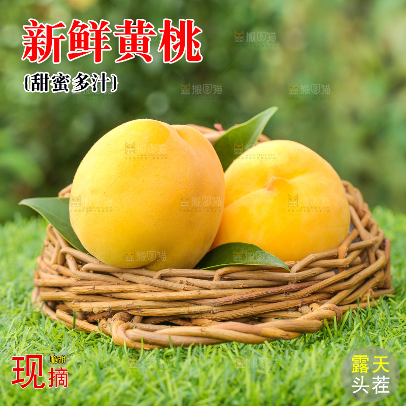 草地上放着一篮子新鲜黄桃