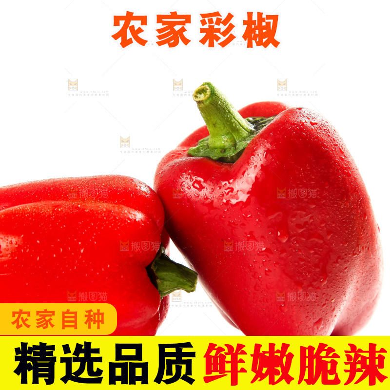 白底上放着灯笼椒