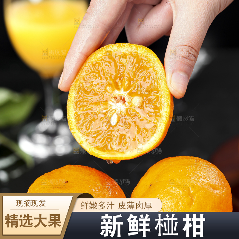 手里拿着椪柑橘