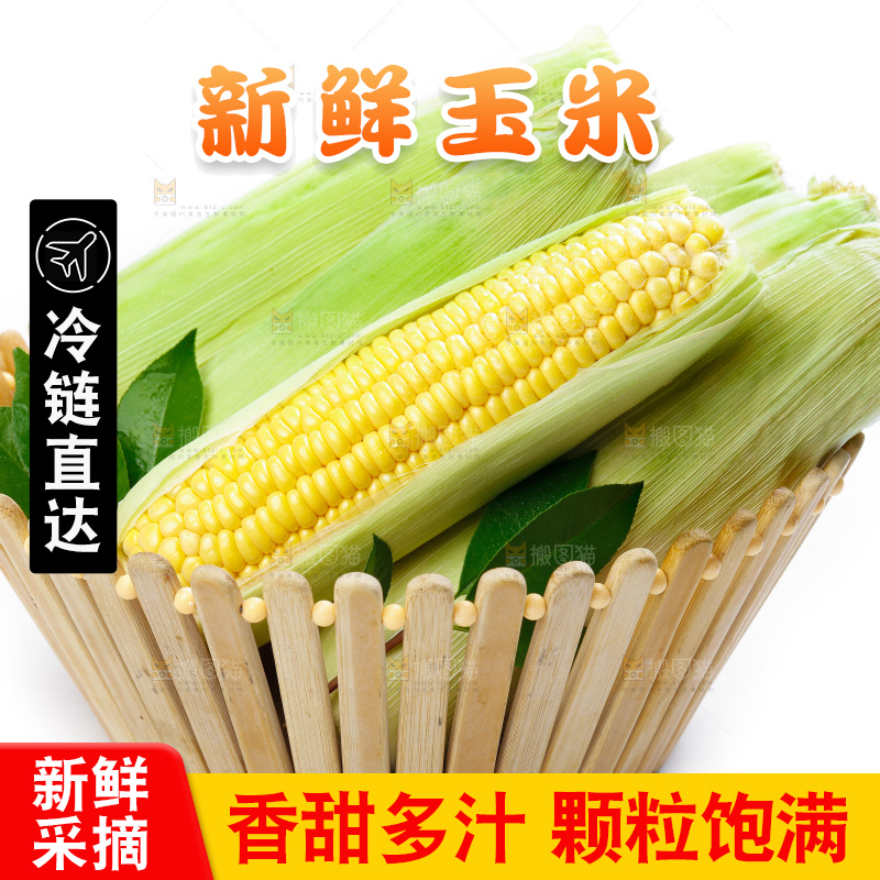 篮子子装着玉米棒