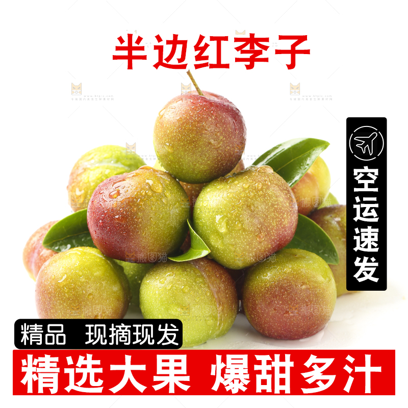白底上摆放着新鲜李子