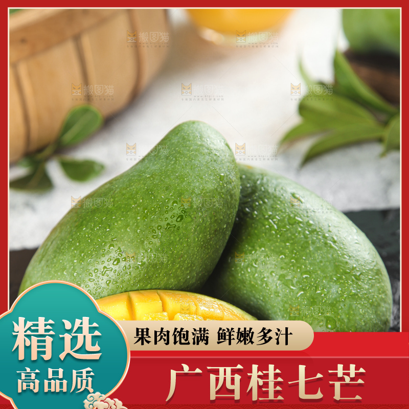 石板上的青皮桂七芒