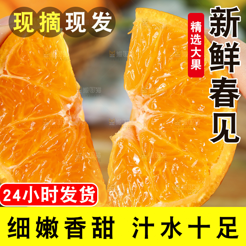 手里拿着四川耙耙柑