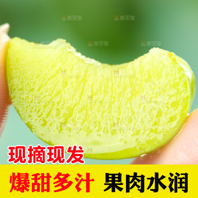 手里拿着脆红李