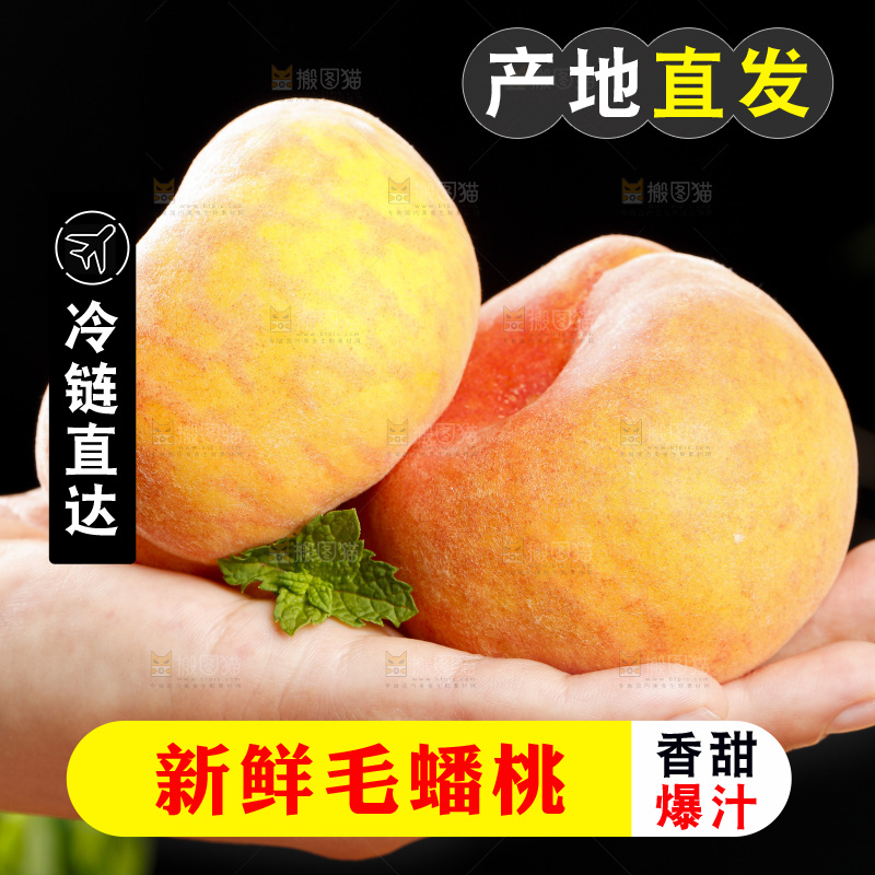 黑底上的毛蟠桃