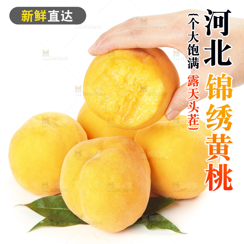 白底上的黄肉桃