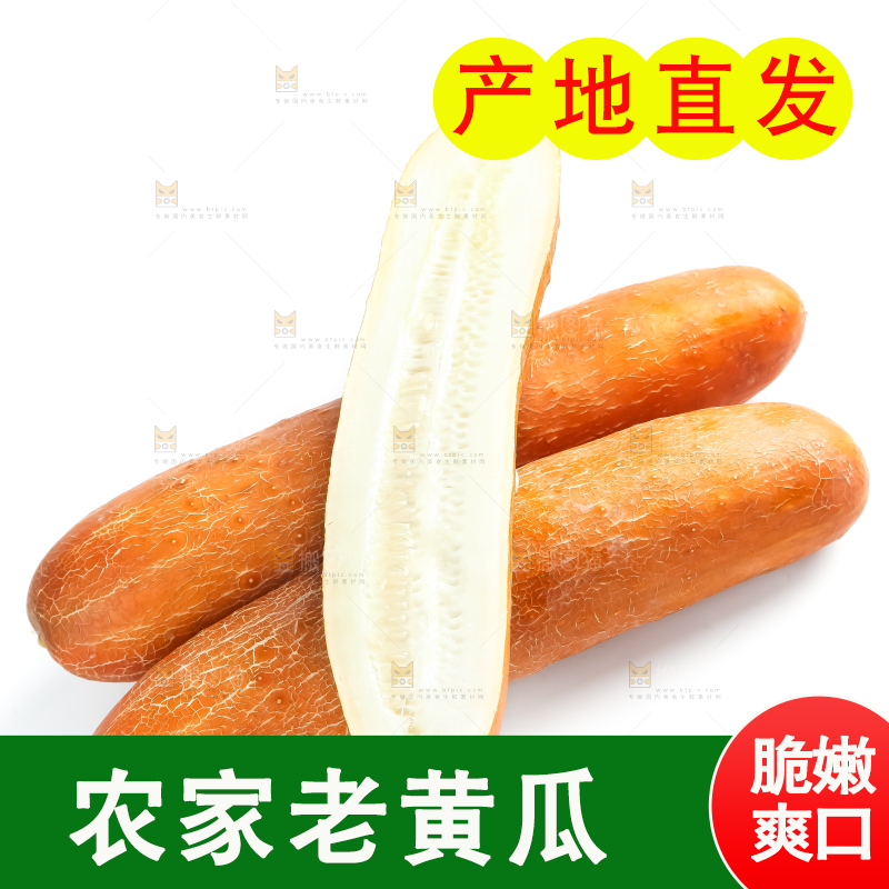 白底上的新鲜老黄瓜