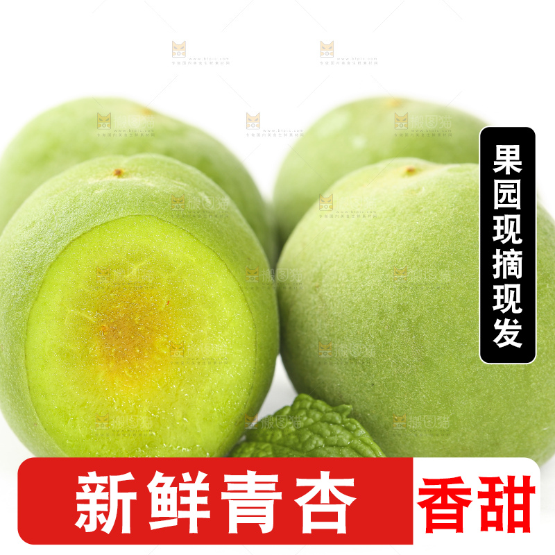 白底上的新鲜青杏