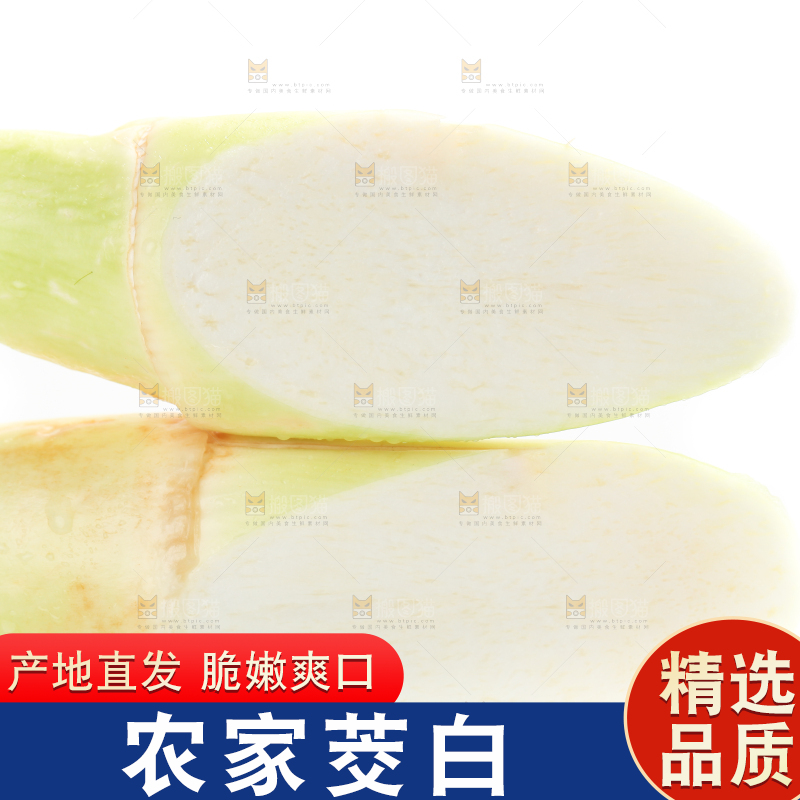 白底上的茭白