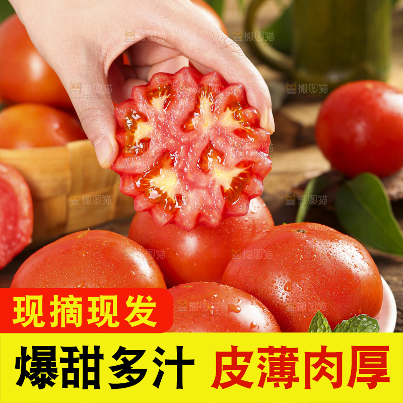 盘子里放着普罗旺斯西红柿