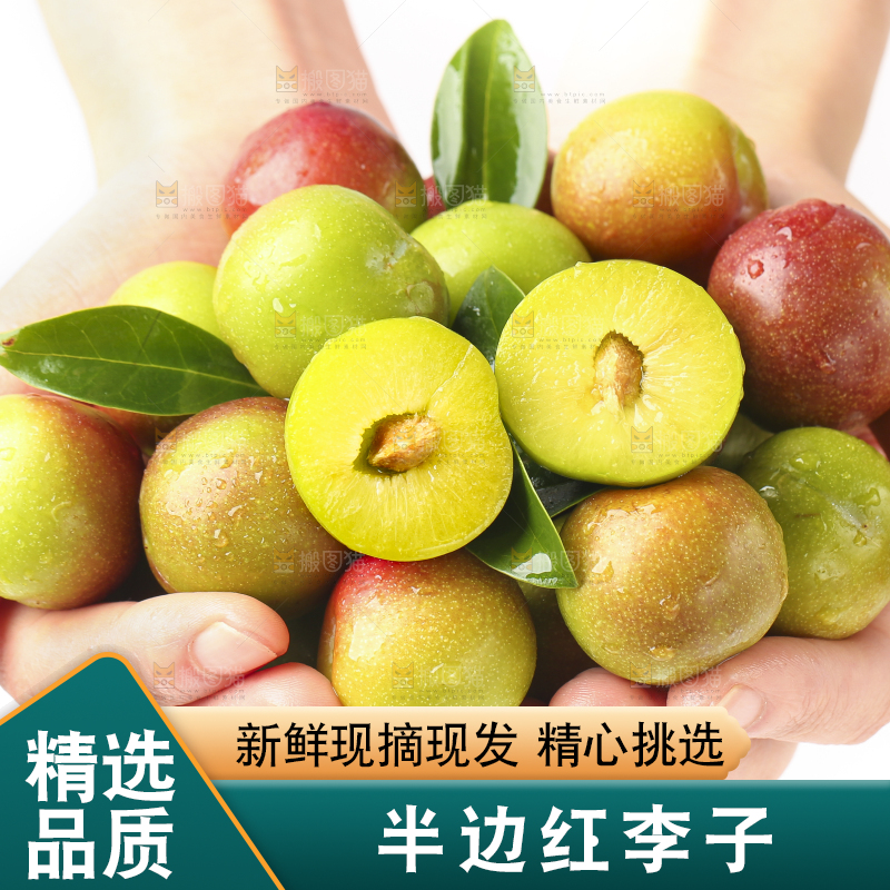 手里捧着半边红脱骨李