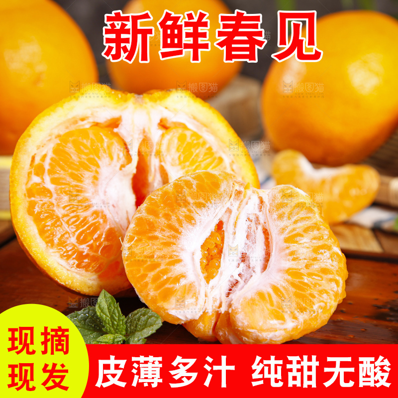 木板上的春见耙耙柑