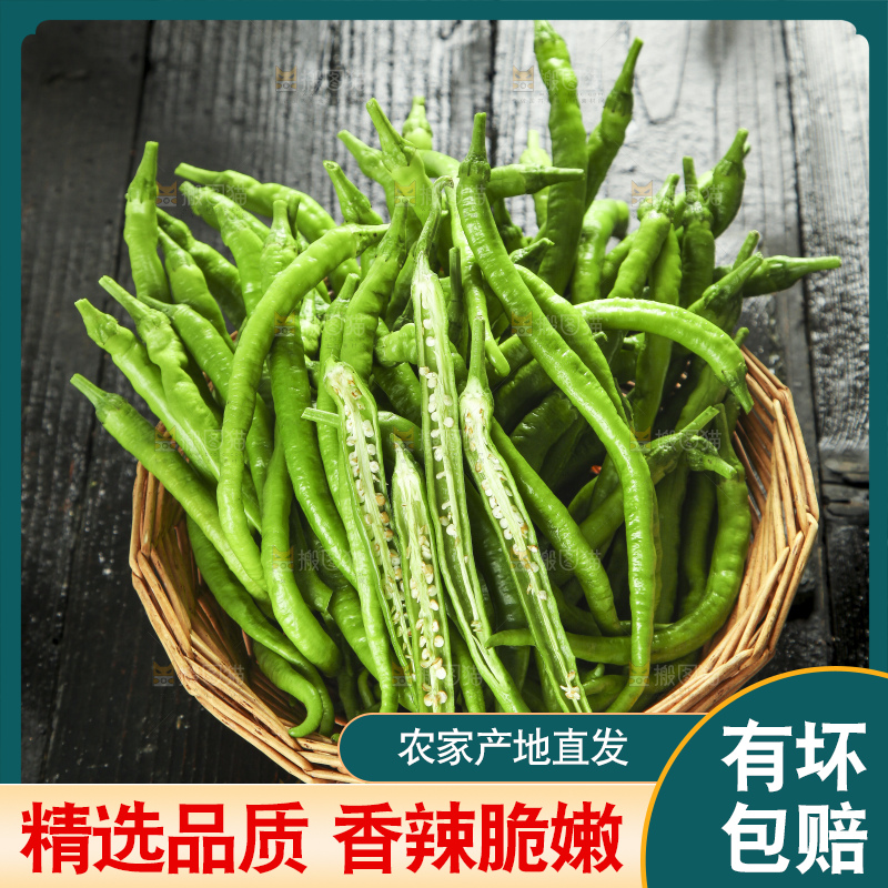 篮子里装着青线椒