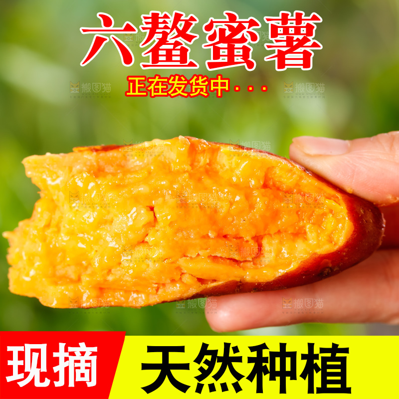 手里拿着红蜜薯