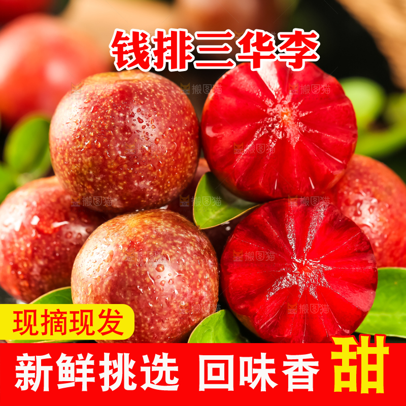 红肉三华李主图