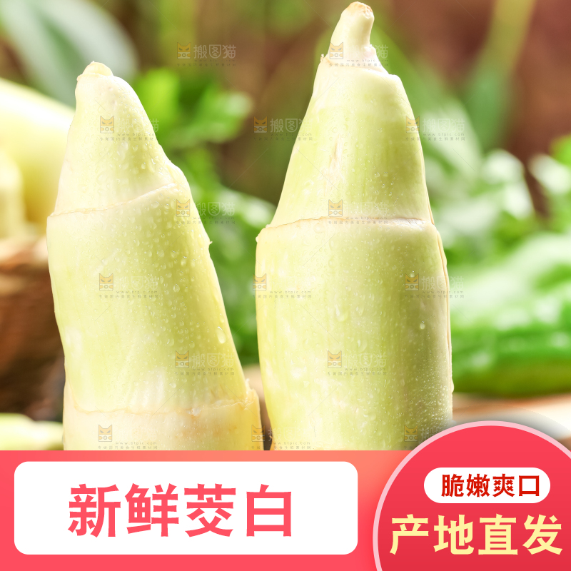 石板上的云南茭白