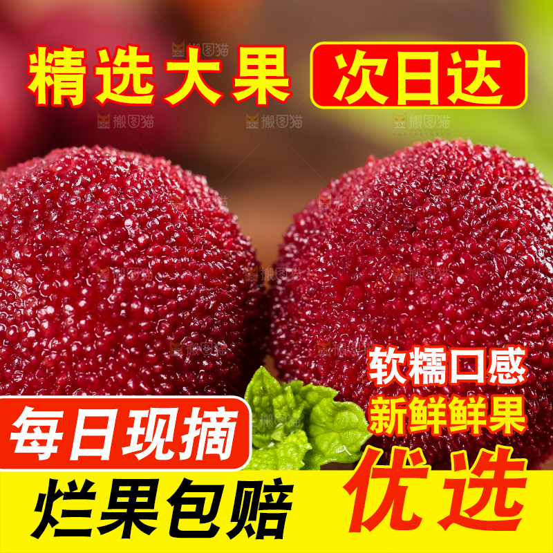 木板上的高山大杨梅
