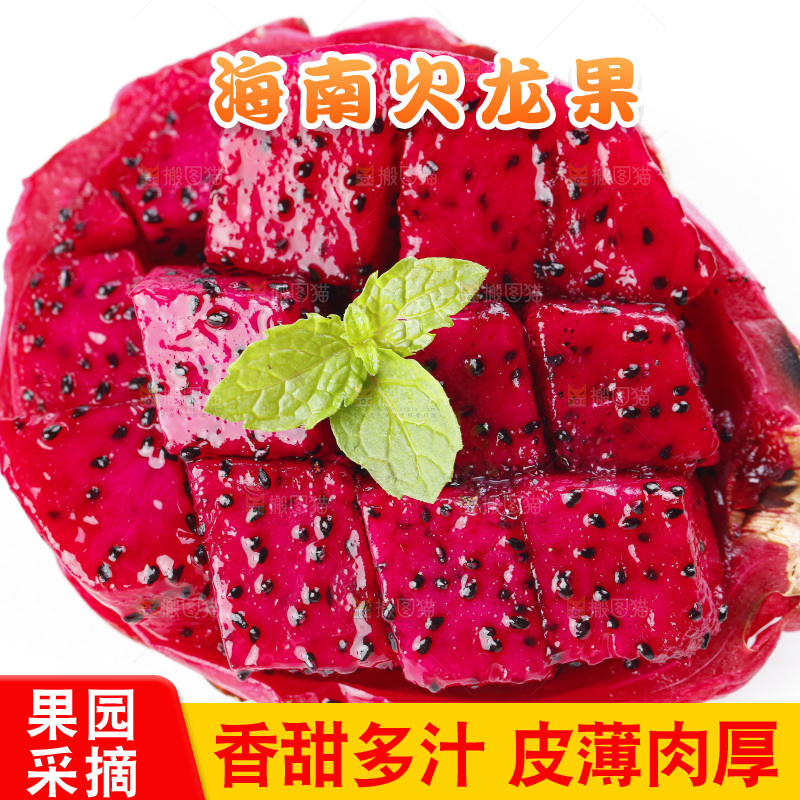 白底上摆放着金都一号火龙果
