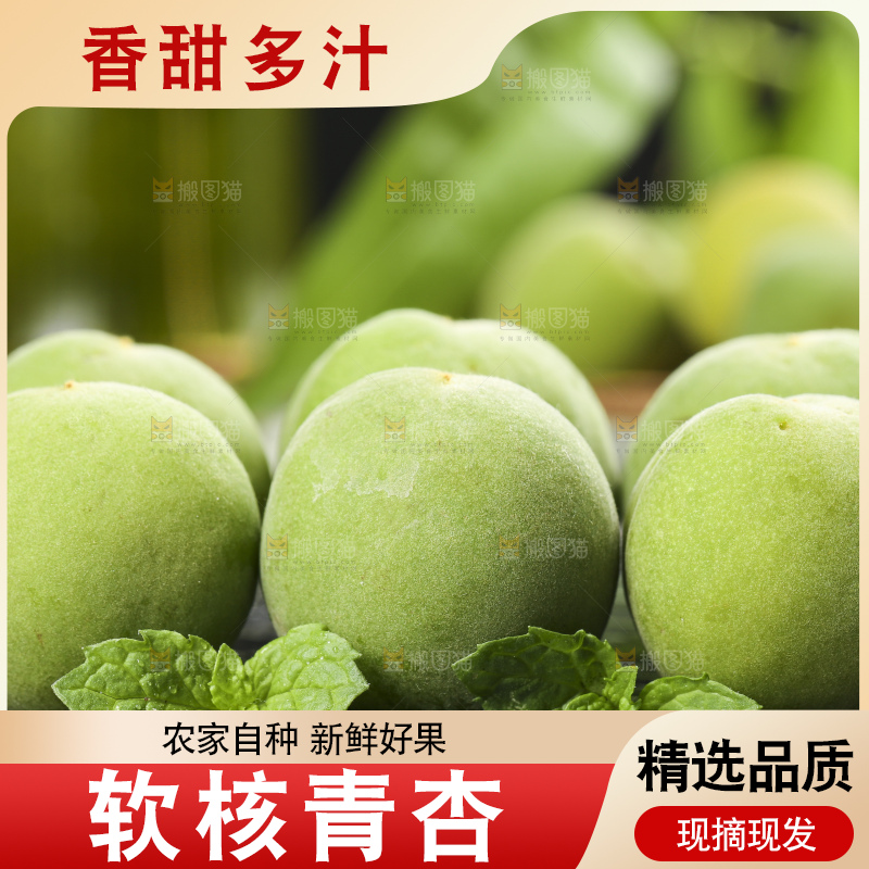 黑石板上的青杏