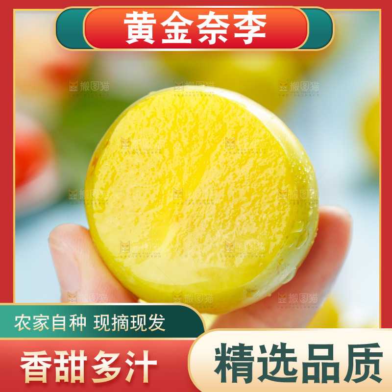 手里拿着九峰山黄金奈李