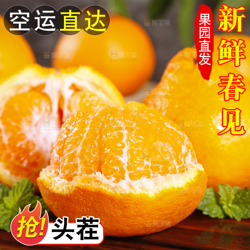 木板上放着春见耙耙柑