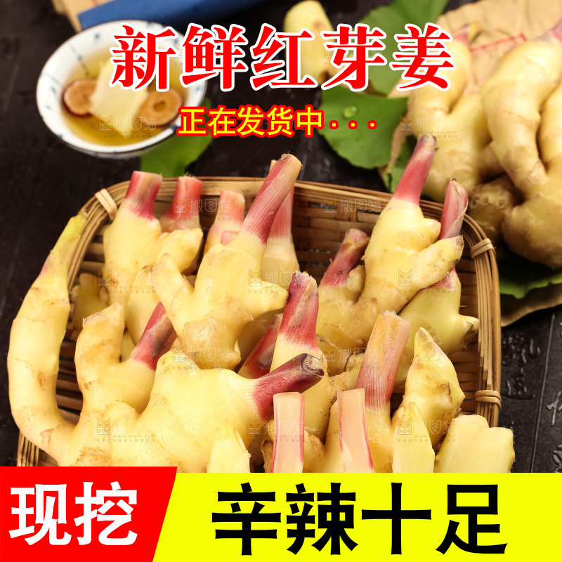 篮子里装着红芽嫩姜