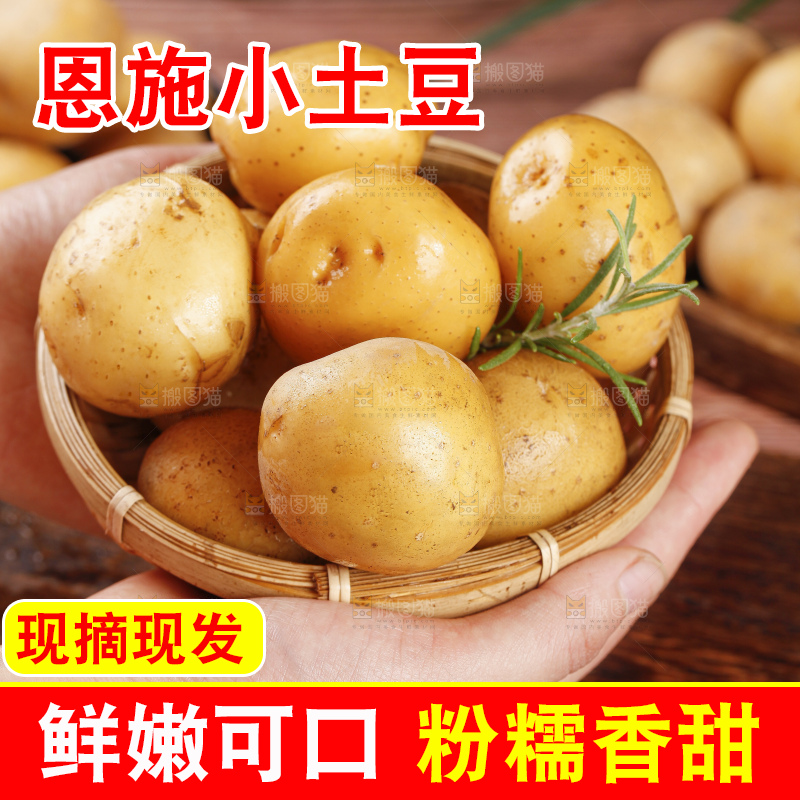 手里拿着迷你小土豆