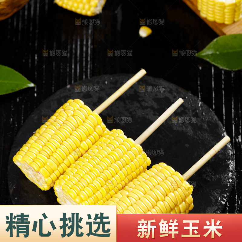 黑石板上的东北玉米