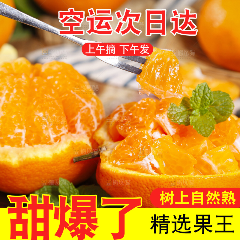 木板上的春见耙耙柑