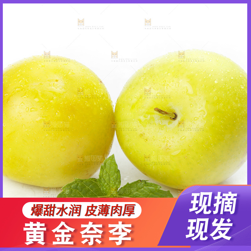 白底上的九峰山黄金奈李