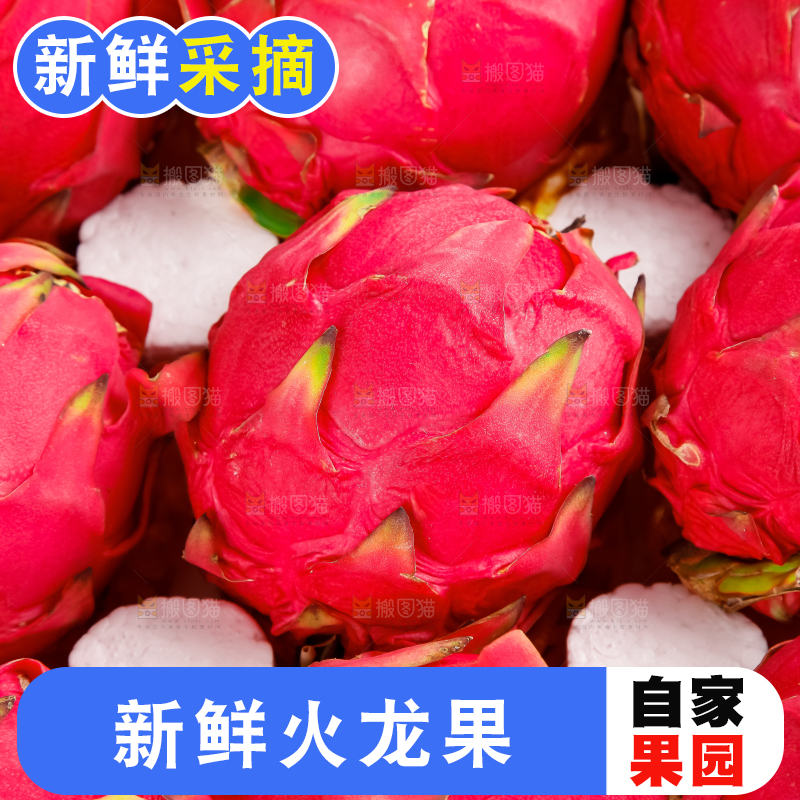 白底上放着金都一号红心火龙果