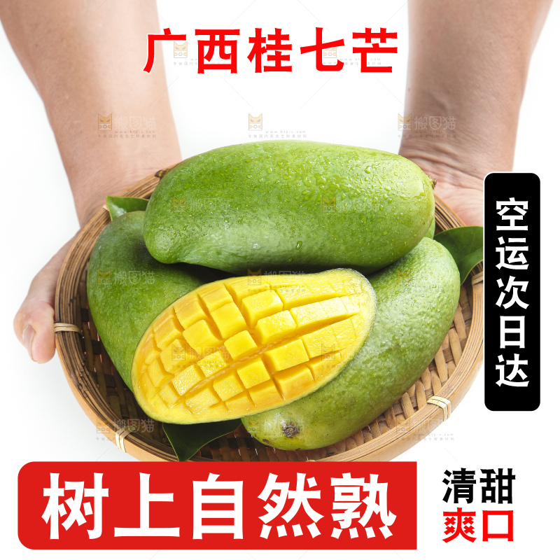 篮子里装着田东桂七芒