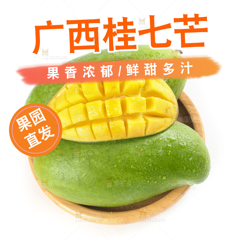 白底上的桂七香芒