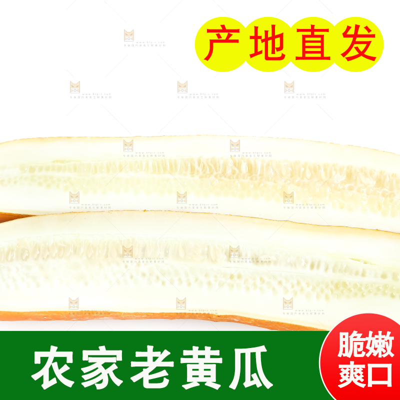 白底上的新鲜老黄瓜