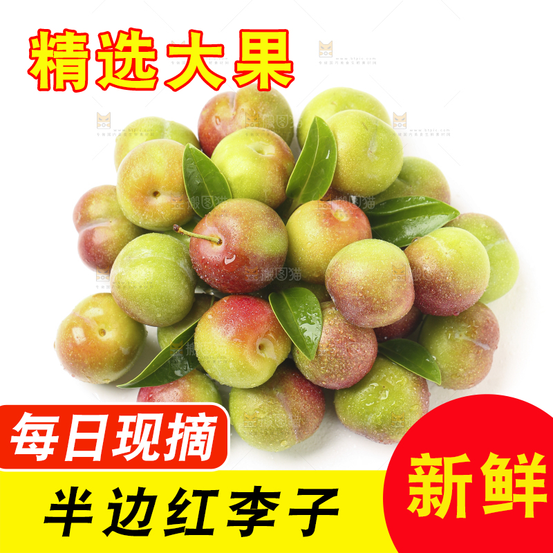 白底上的四川茵红脱骨李