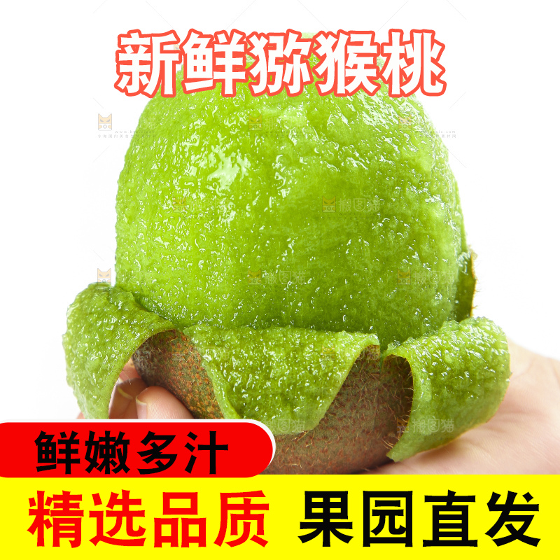 手里拿着猕猴桃
