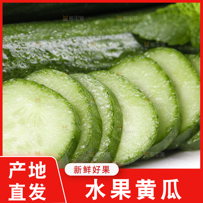 白底上的山东水果黄瓜