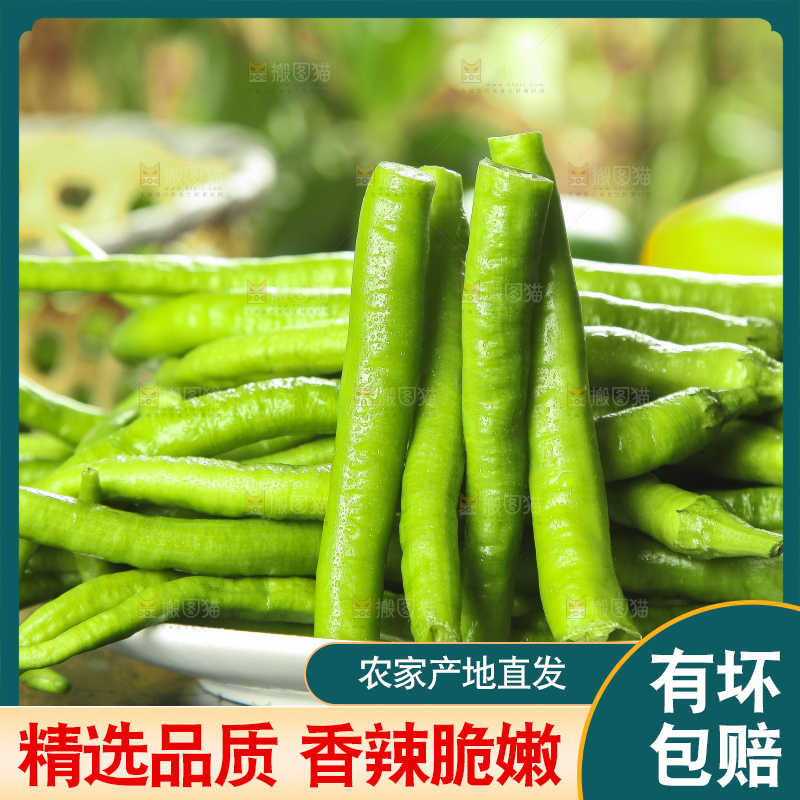 盘子里装着二荆条辣椒