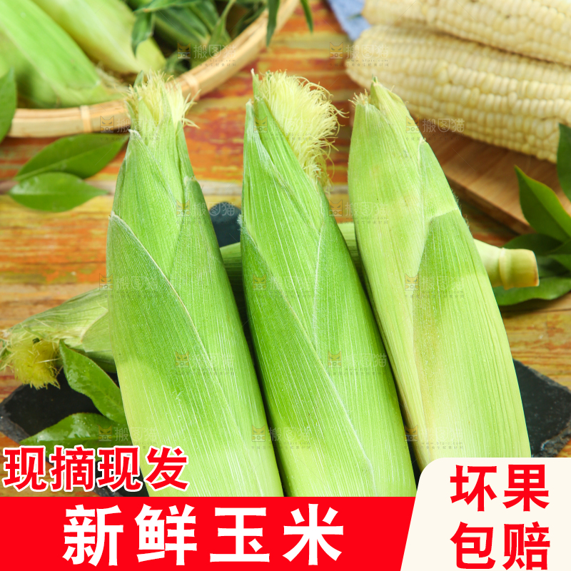 黑石板上的牛奶水果玉米