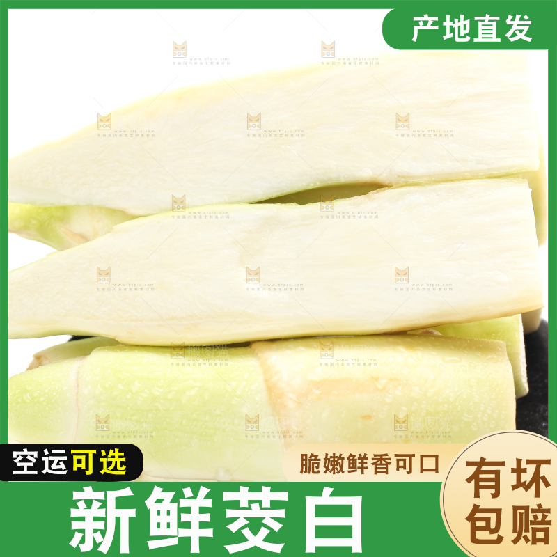 白底上的茭白