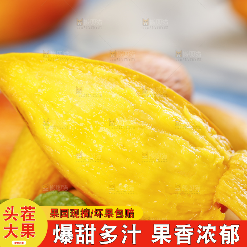 蓝底上的海南辣椒芒