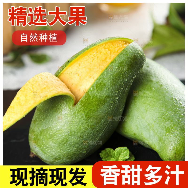 石板上的青皮桂七芒