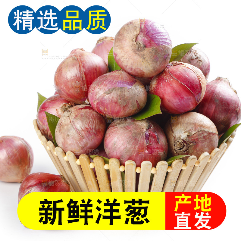 篮子里的新鲜洋葱