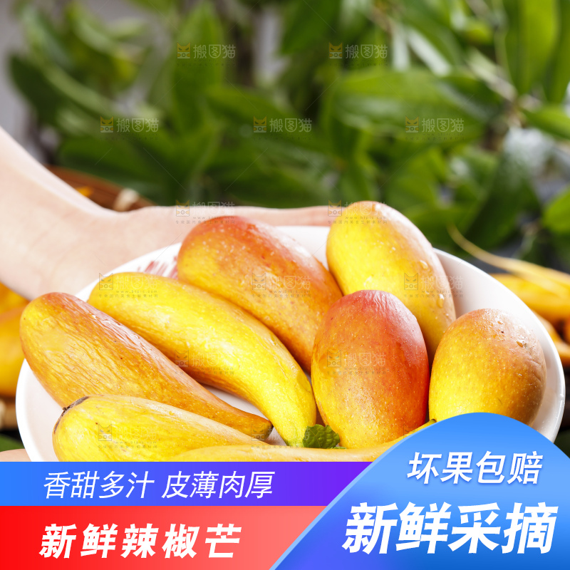 手里拿着新鲜芒果