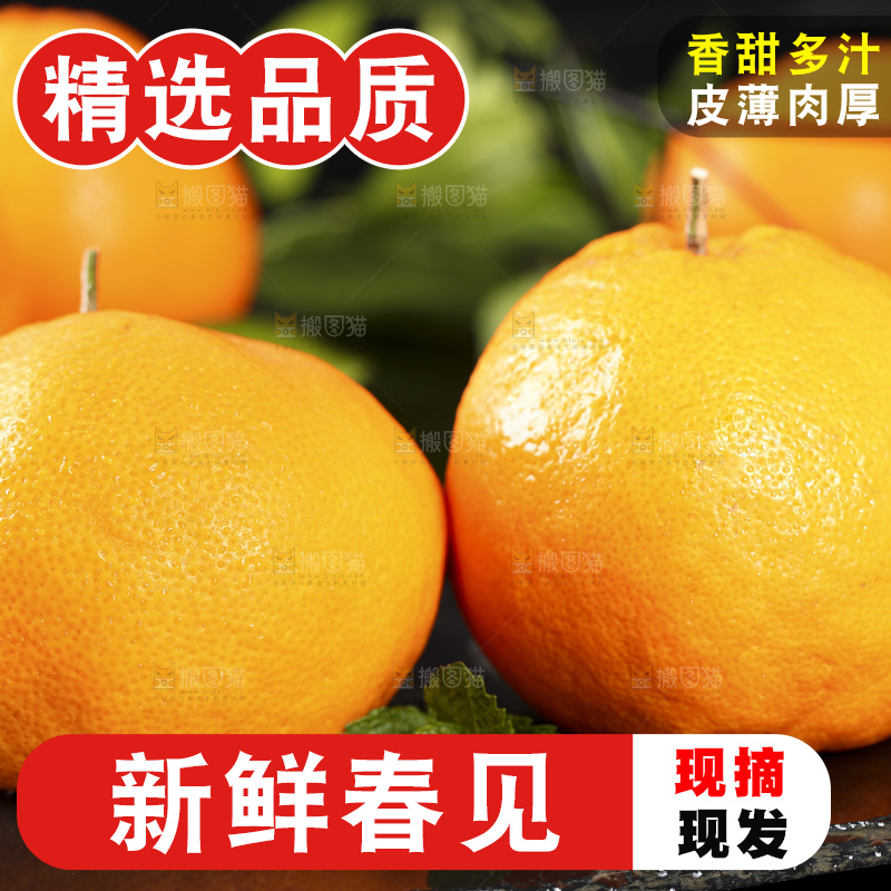 石板上摆放着四川春见耙耙柑